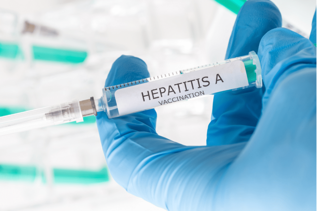 hepatitis a vaccine